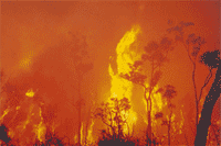 Bushfire image courtesy of Emmergency Management Australia