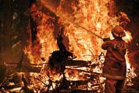 Fig 2. A firefighter fighting a blaze from the Great Alpine Road, near Bruthen, Victoria.