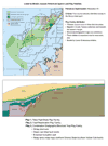 Early-Middle Jurassic petroleum system