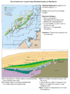 Permo-Carboniferous petroleum system