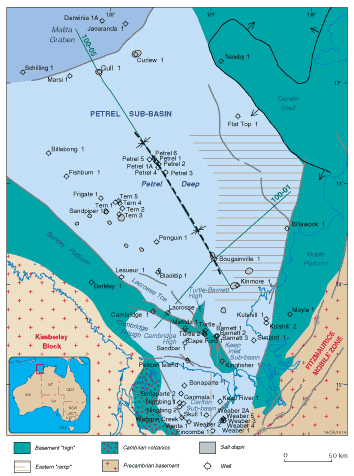 Schematic image of the Petrel Sub-basin (GA1308)