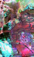 Three band radiometric image of the West Tanami region