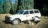 Taking a gravity measurement in the field