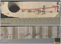 Fig 4. Evidence of oil generation at Arafura-1: oil staining in (a) Ordovician and (b) Devonian rocks.