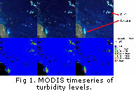 An example of multi-temporal MODIS imagery showing elevation of turbidity levels in the water column near the dredging area and the estimated TSS from the satellite for Hay Point, Queensland. Click for high resolution image 200kb