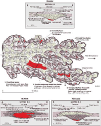 Fig 2. Komatiitic mineralising systems.