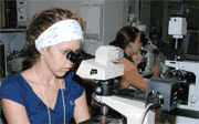 Working at Geoscience Australia.