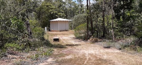 A white shed surrounded by bush