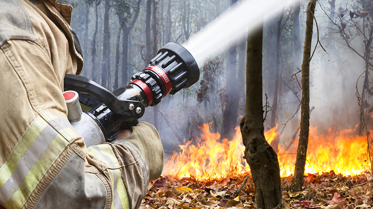 Bushfire Geoscience Australia