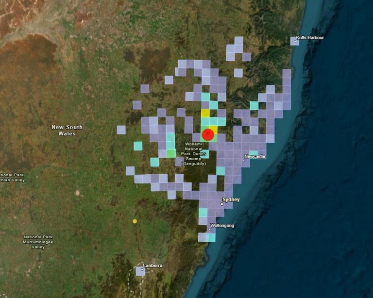 Felt grid for the M4.7 Denman, NSW earthquake showing felt reports across the Hunter Valley, Newcastle, Sydney, Wollongong and Coffs Harbour.