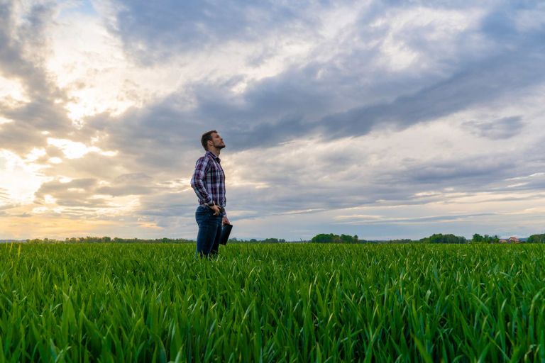 Young man in plaid red shirt standing in green crop looking up at cloudy evening sky